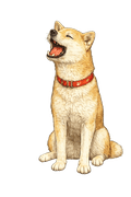 INAKA VIBES mascot