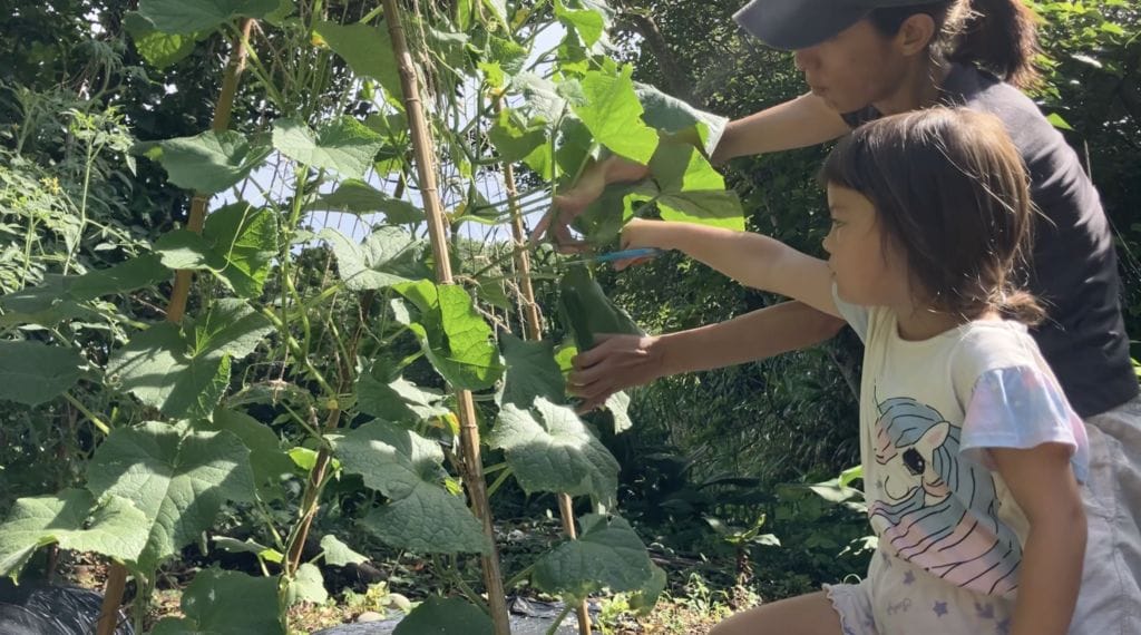 Picking vegetables together
